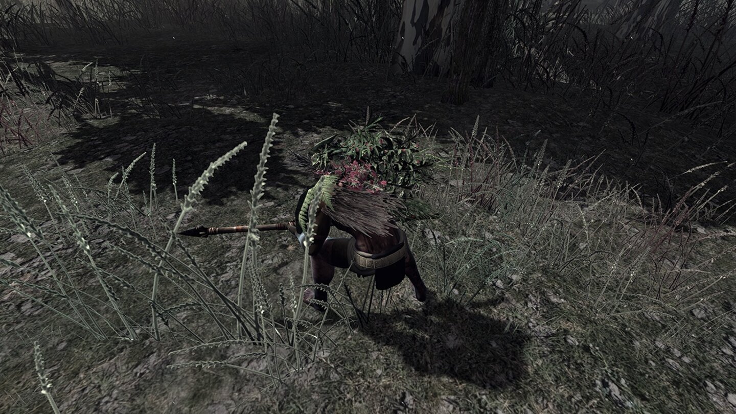 The Stomping Land