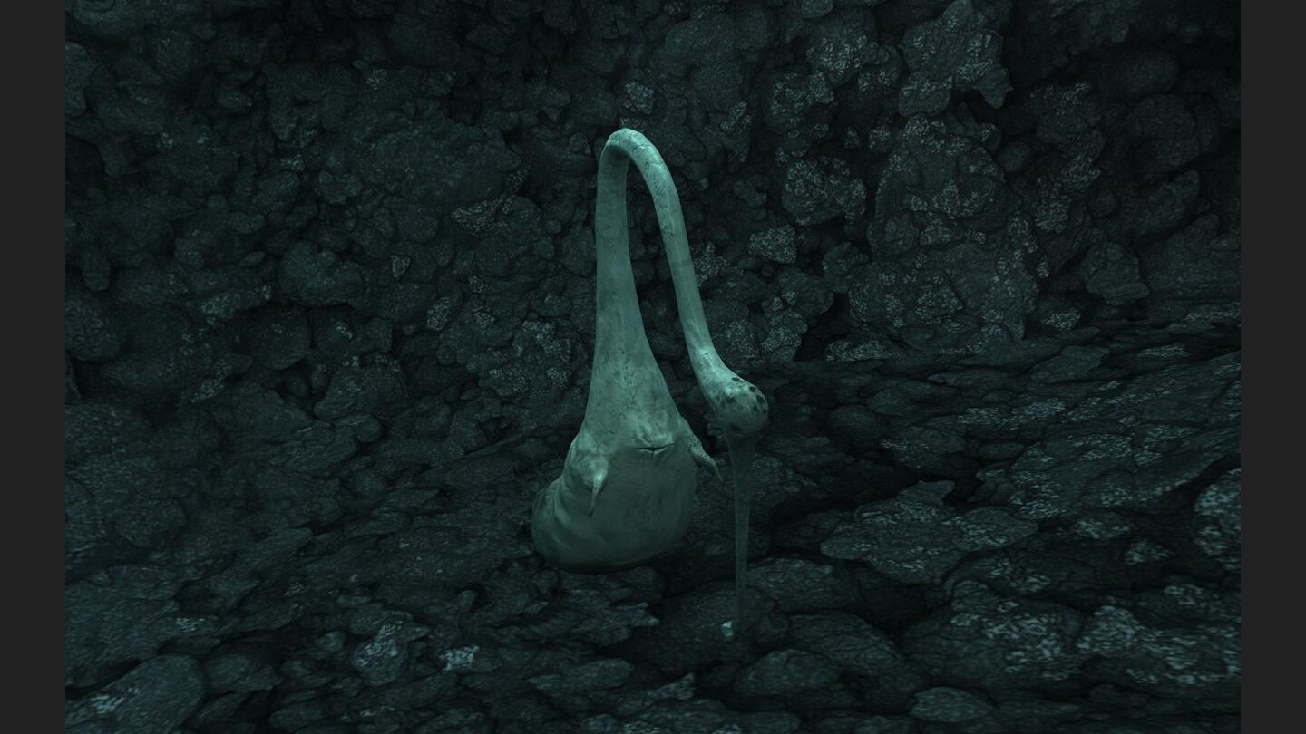 The Void