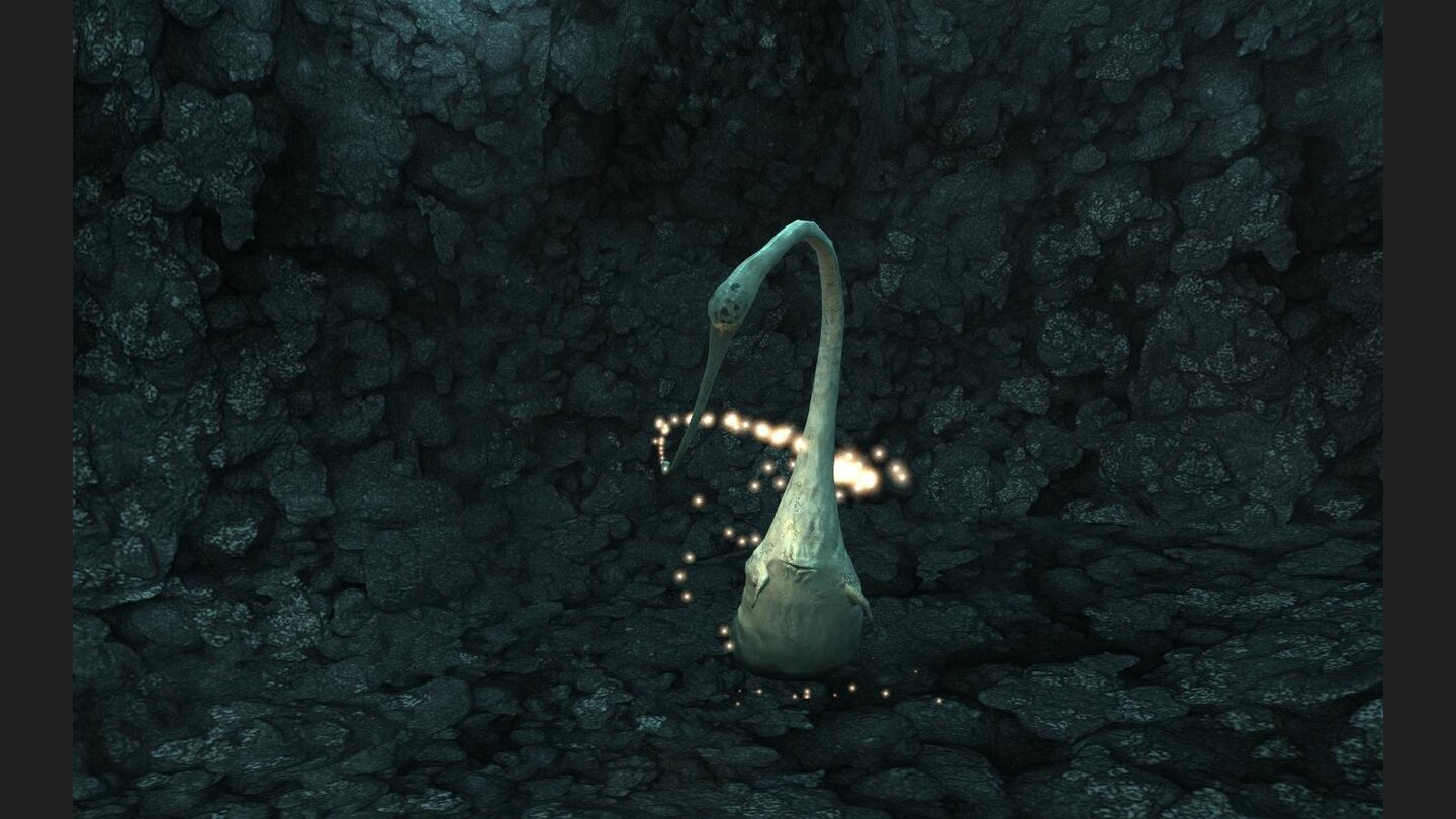 The Void