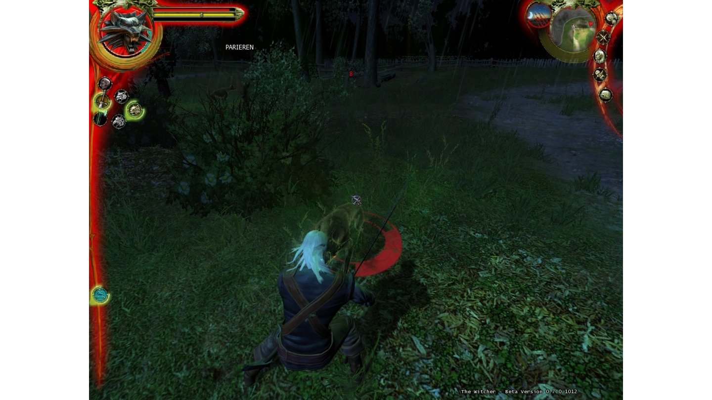 The Witcher 12