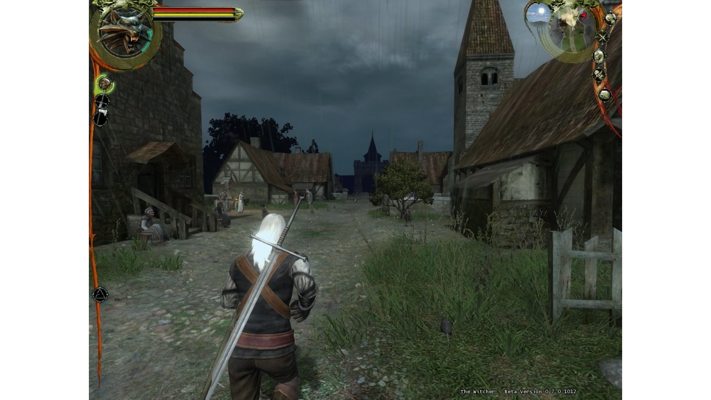The Witcher 14