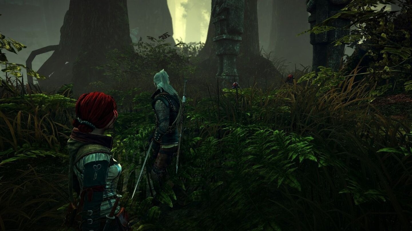 The Witcher 2 Assassins of Kings