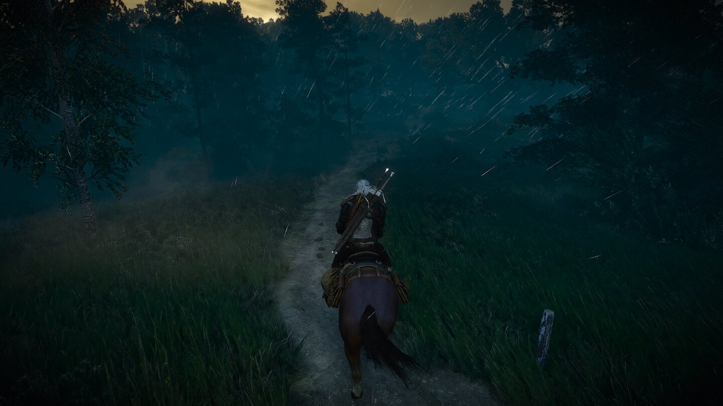 The Witcher 3 Next Gen