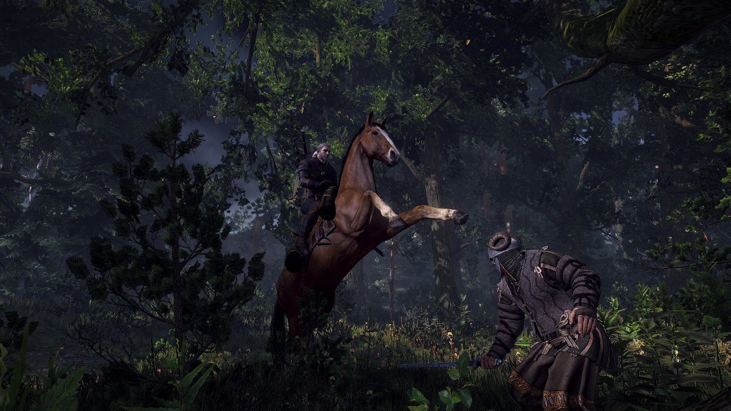 The Witcher 3: Wild HuntBei einer derart großen Spielwelt sind Pferde zur schnelleren Fortbewegung natürlich fest eingeplant. Ob wir von da oben aus auch kämpfen dürfen, da sind sich die Entwickler aber noch nicht sicher.