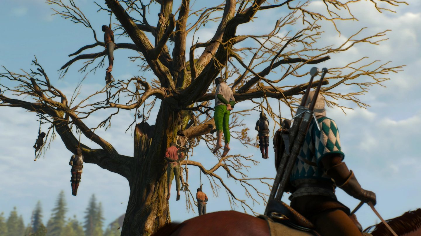 The Witcher 3: Wild HuntSichtbare Kriegsfolgen: Im Niemandsland begrüßt uns ein Baum voller Erhängter.