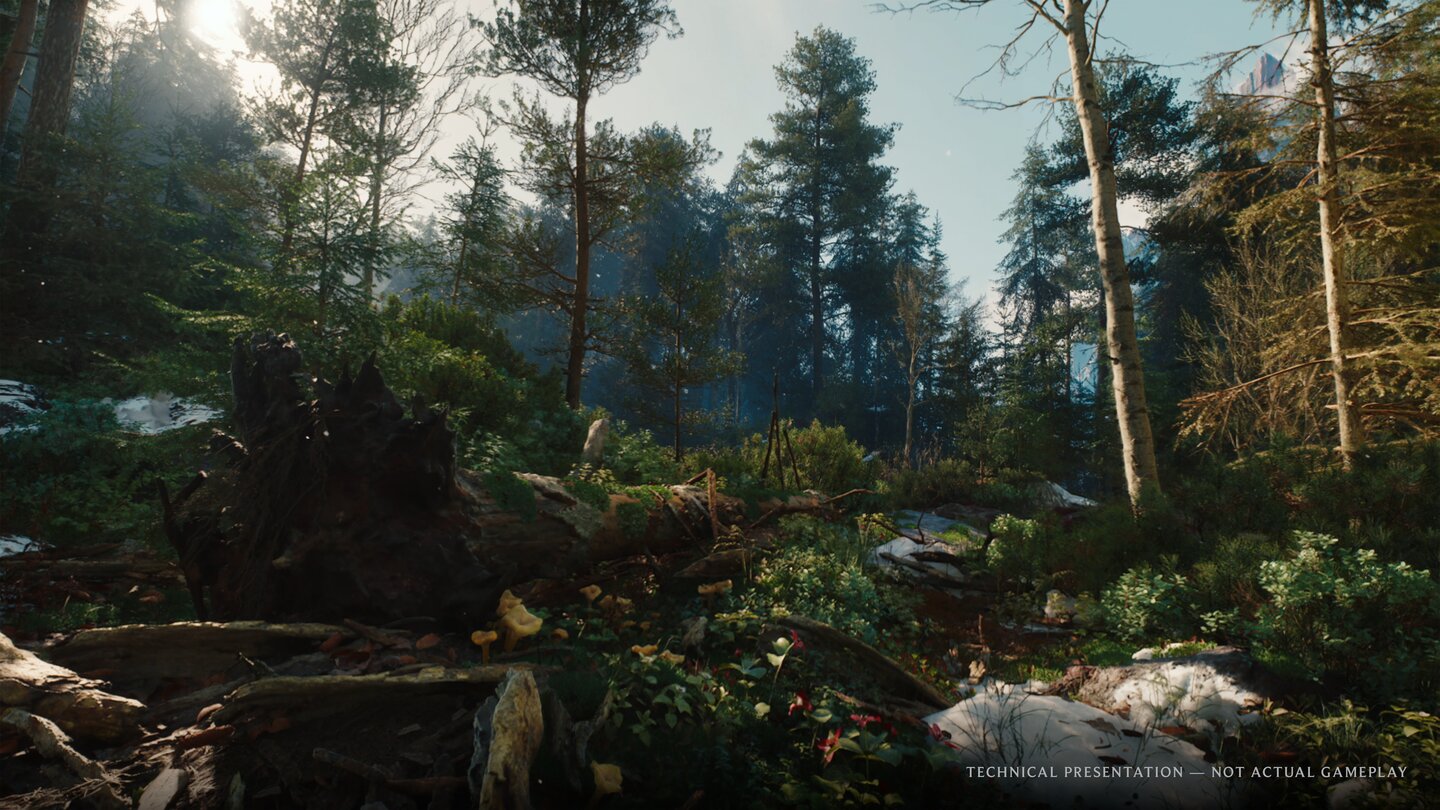 The Witcher 4 - Tech Demo