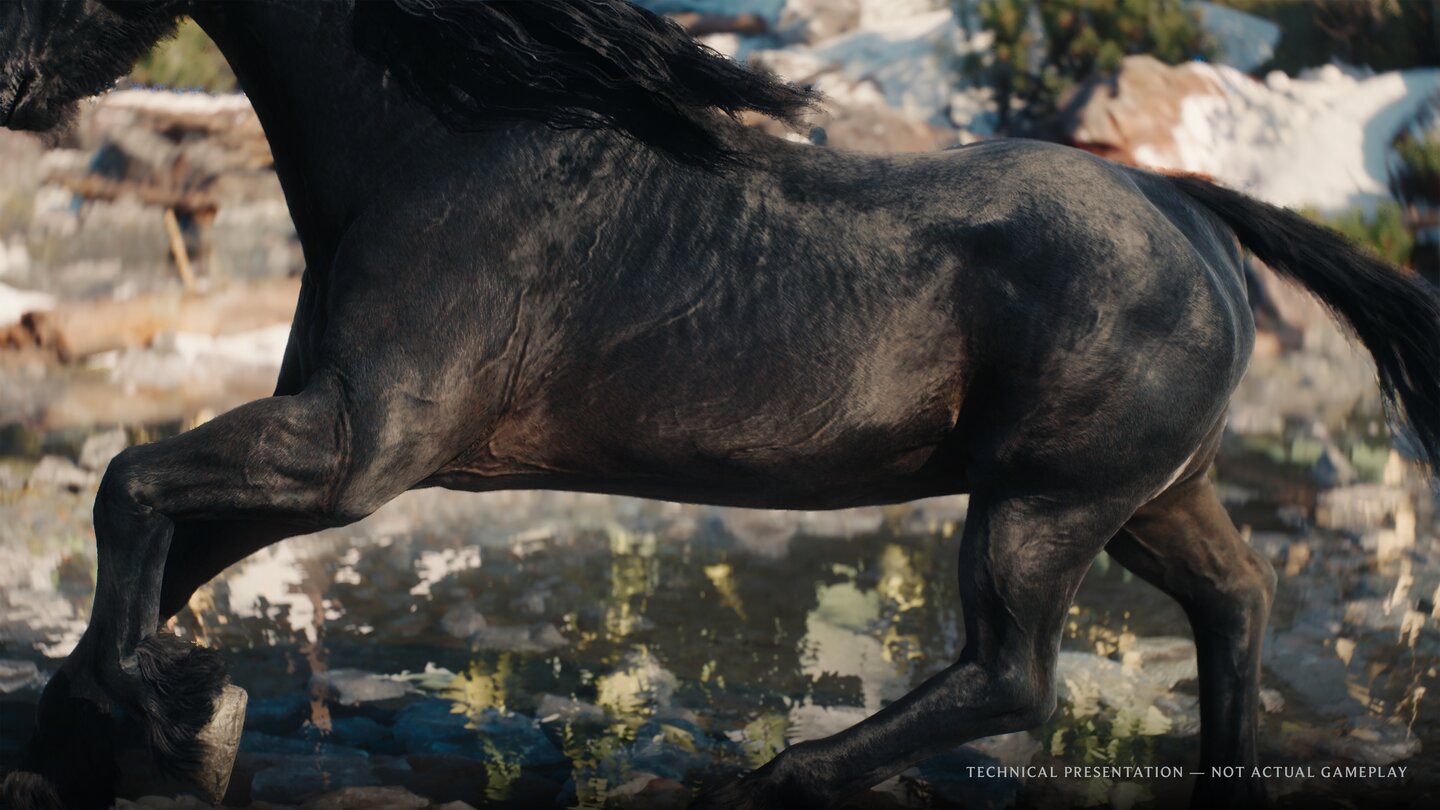 The Witcher 4 - Tech Demo
