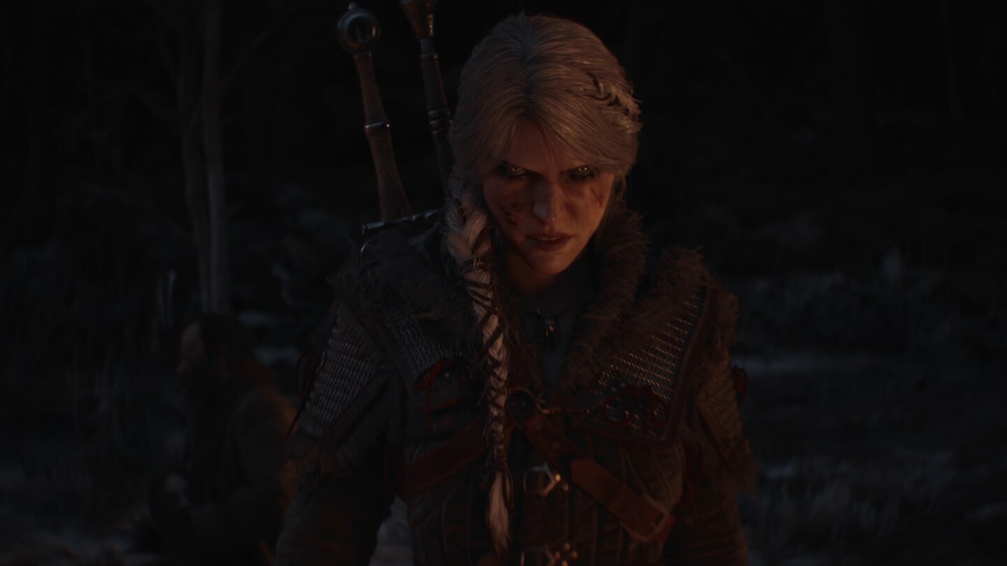 The Witcher 4