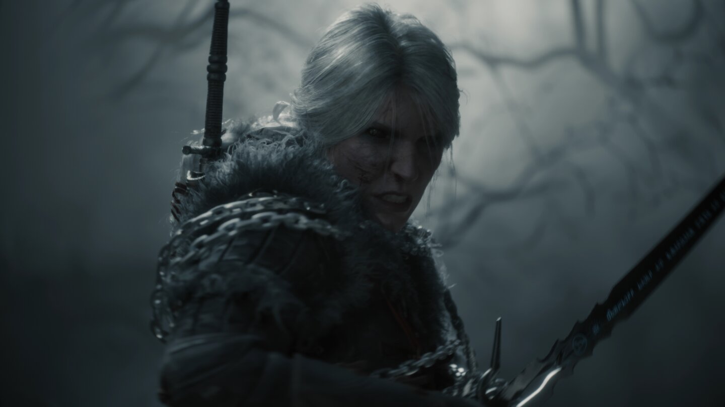 The Witcher 4