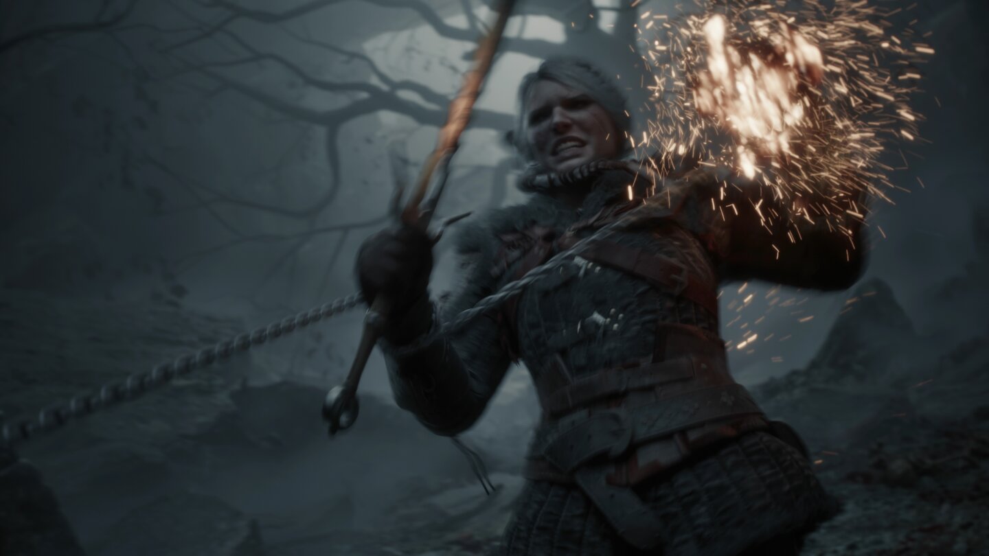 The Witcher 4