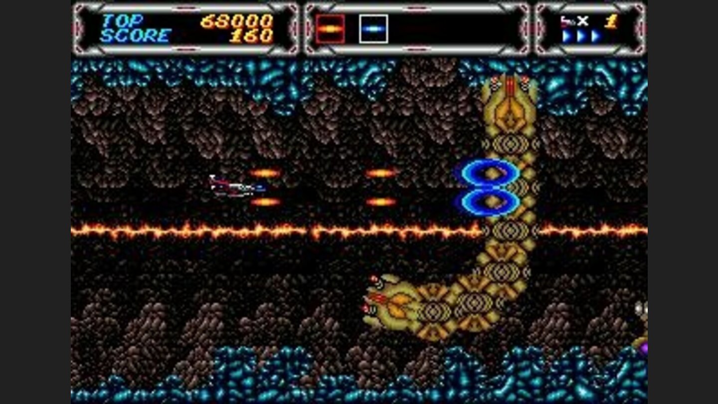 Fighting a big snake