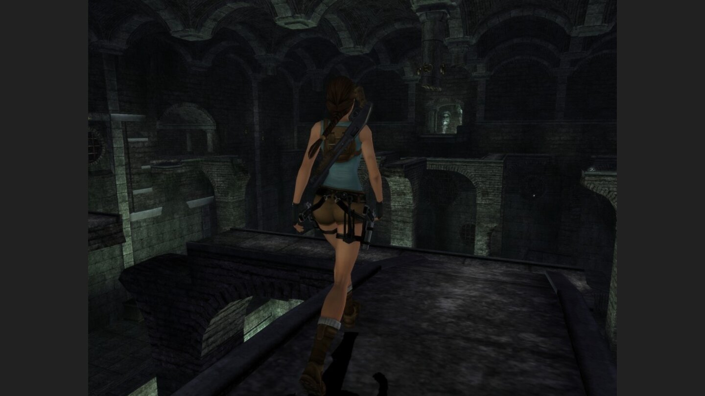 Tomb Raider Anniversary 5