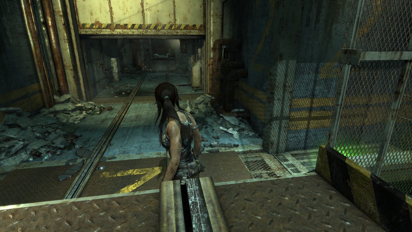 Tomb Raider - Haar Bug mit