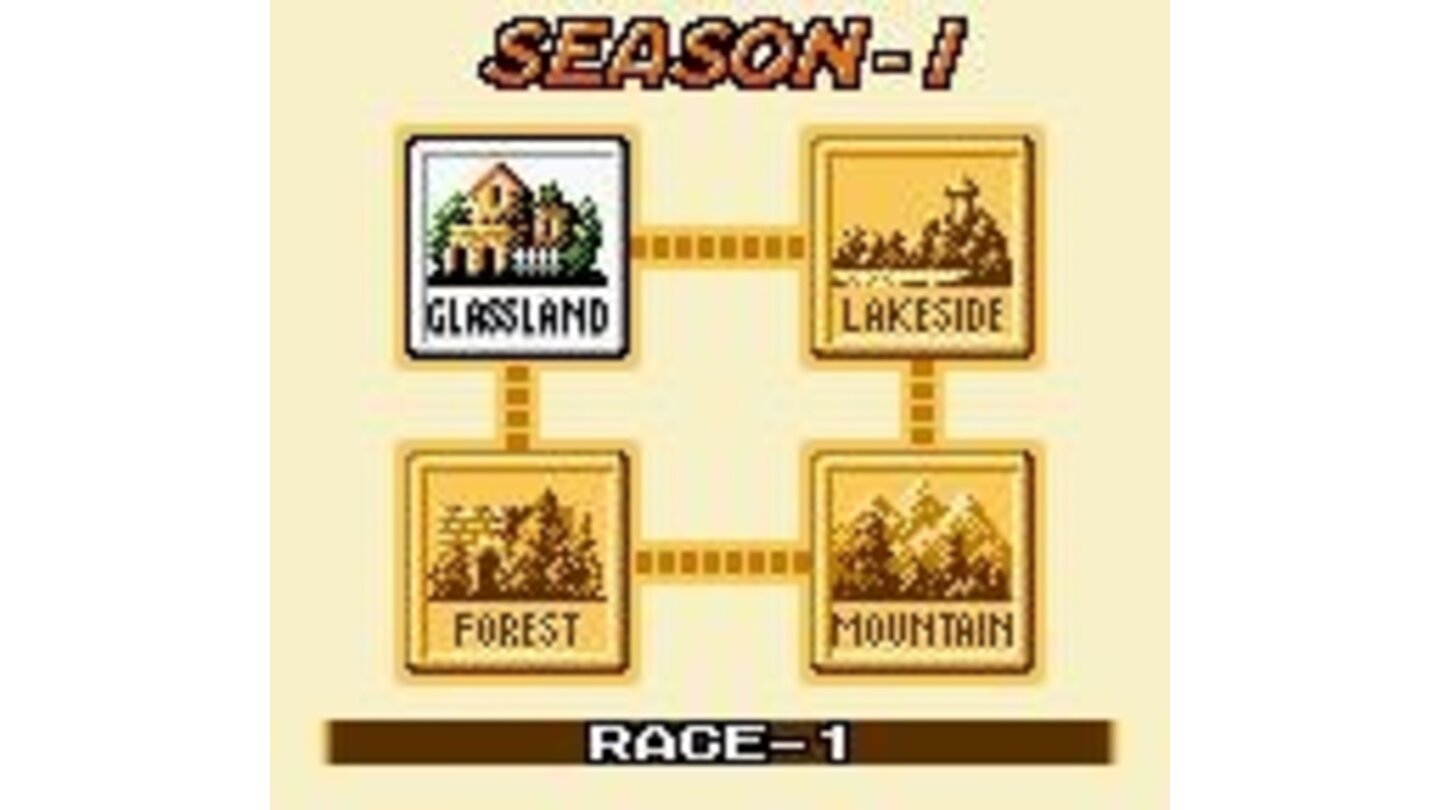 Choosing the season race.