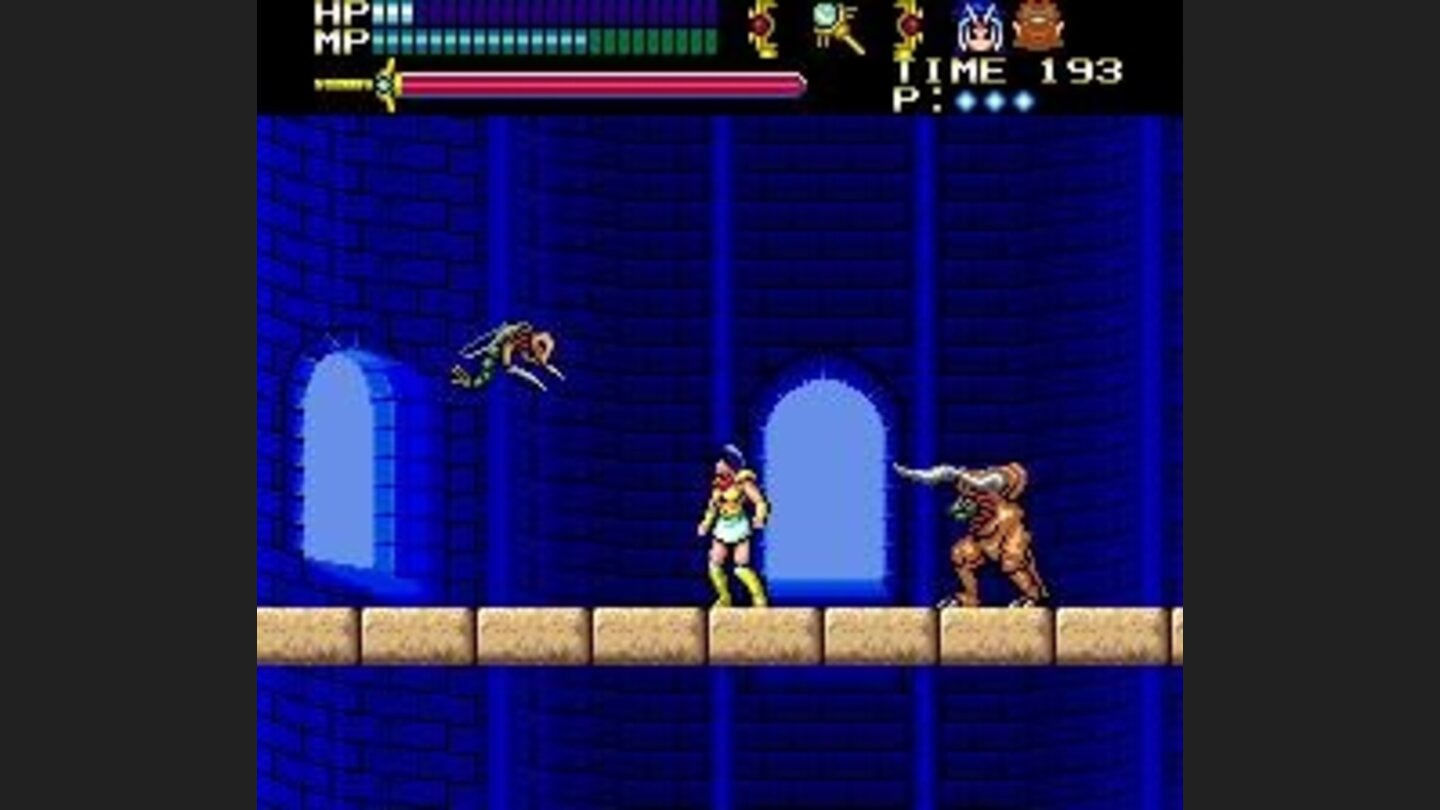 Hogs and flies are the typical fauna species of the tower