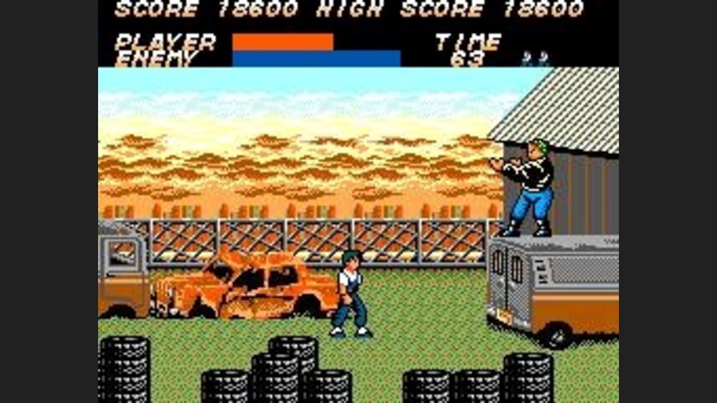 The ninja boss guarding the van with Maria inside