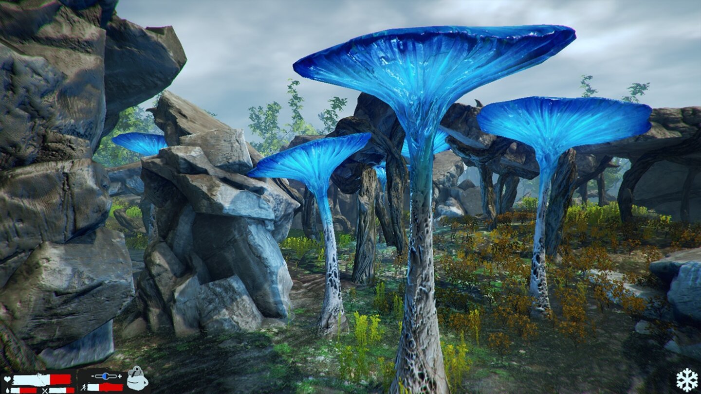 Vortex: The Gateway