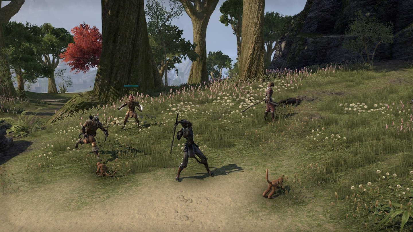 The Elder Scrolls OnlineKrampf im Arm: Nein, wir wollen hier nicht den putzigen Affen erschlagen! Vielmehr verharrt unser Arm permanent in der Angriffsanimation und zwar schon lange nach Ende des Gefechts.