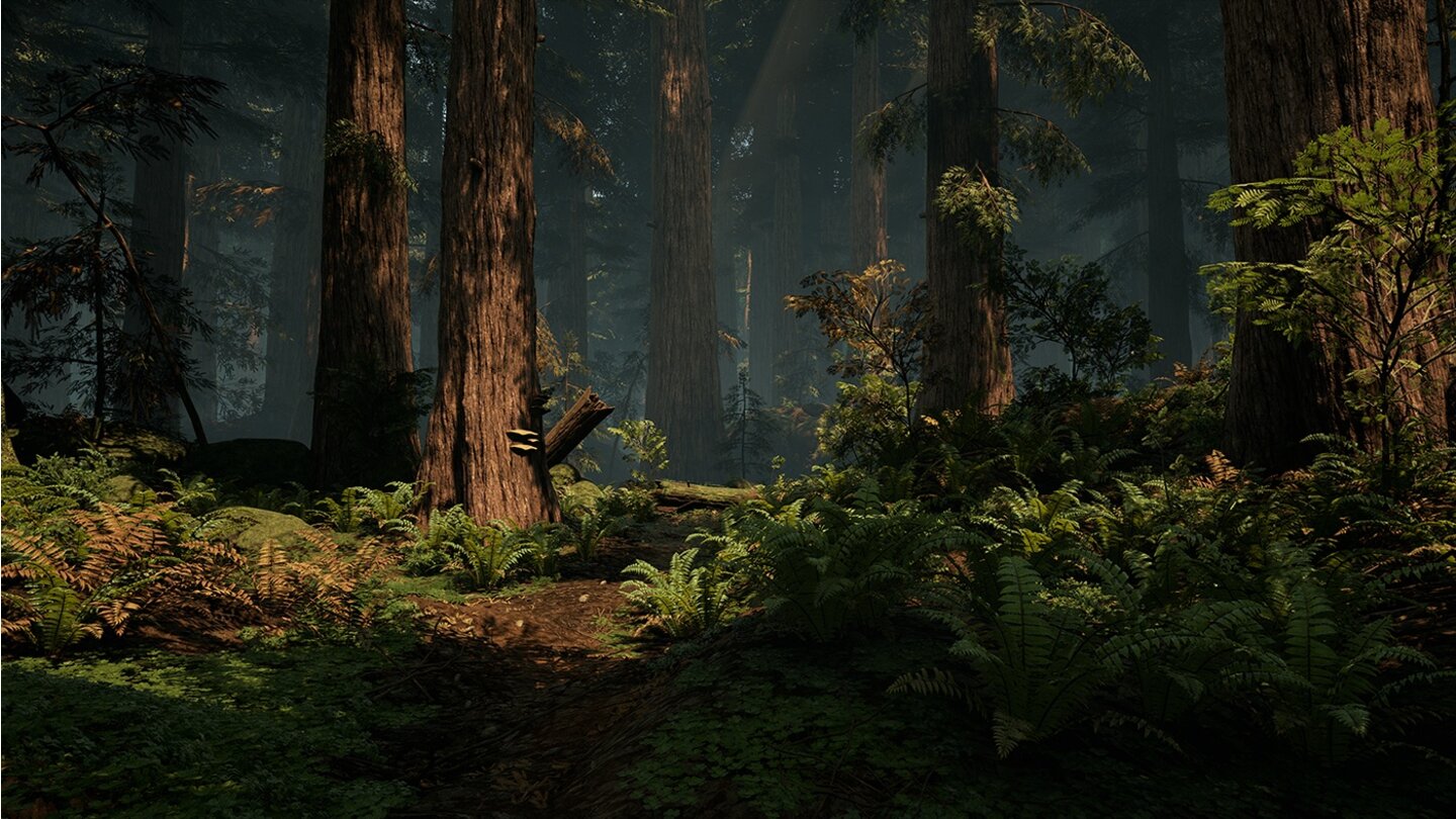 Unreal Engine 4 - Screenshots aus der Wald-Demo