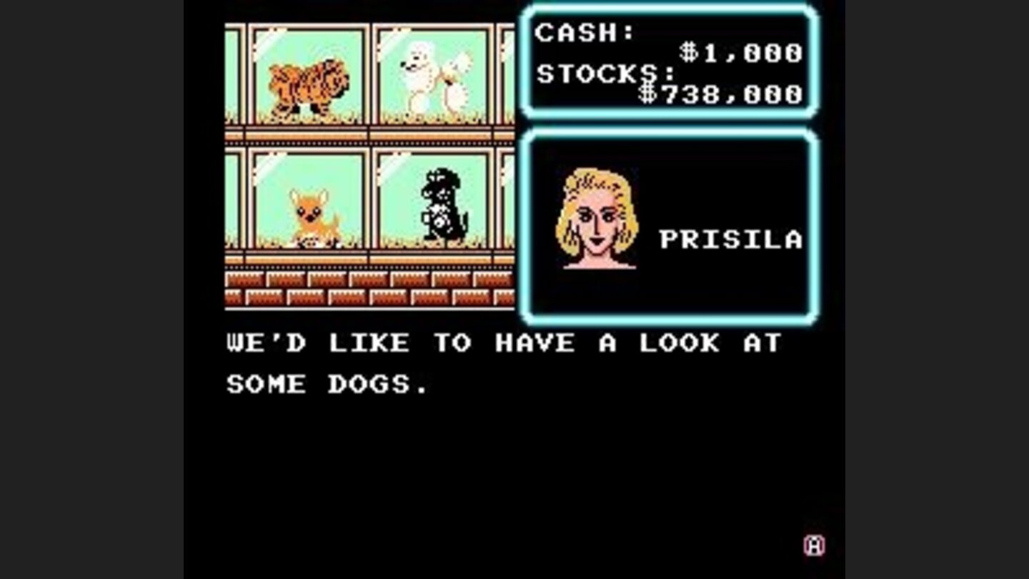 Buying Prisila a dog