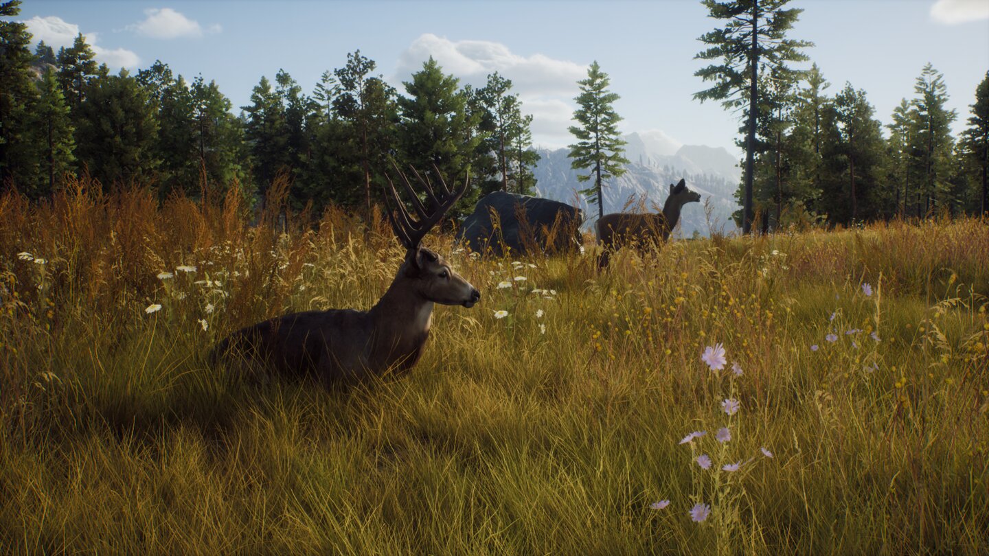 Way of the Hunter
Screenshots zur Jagdsimulation