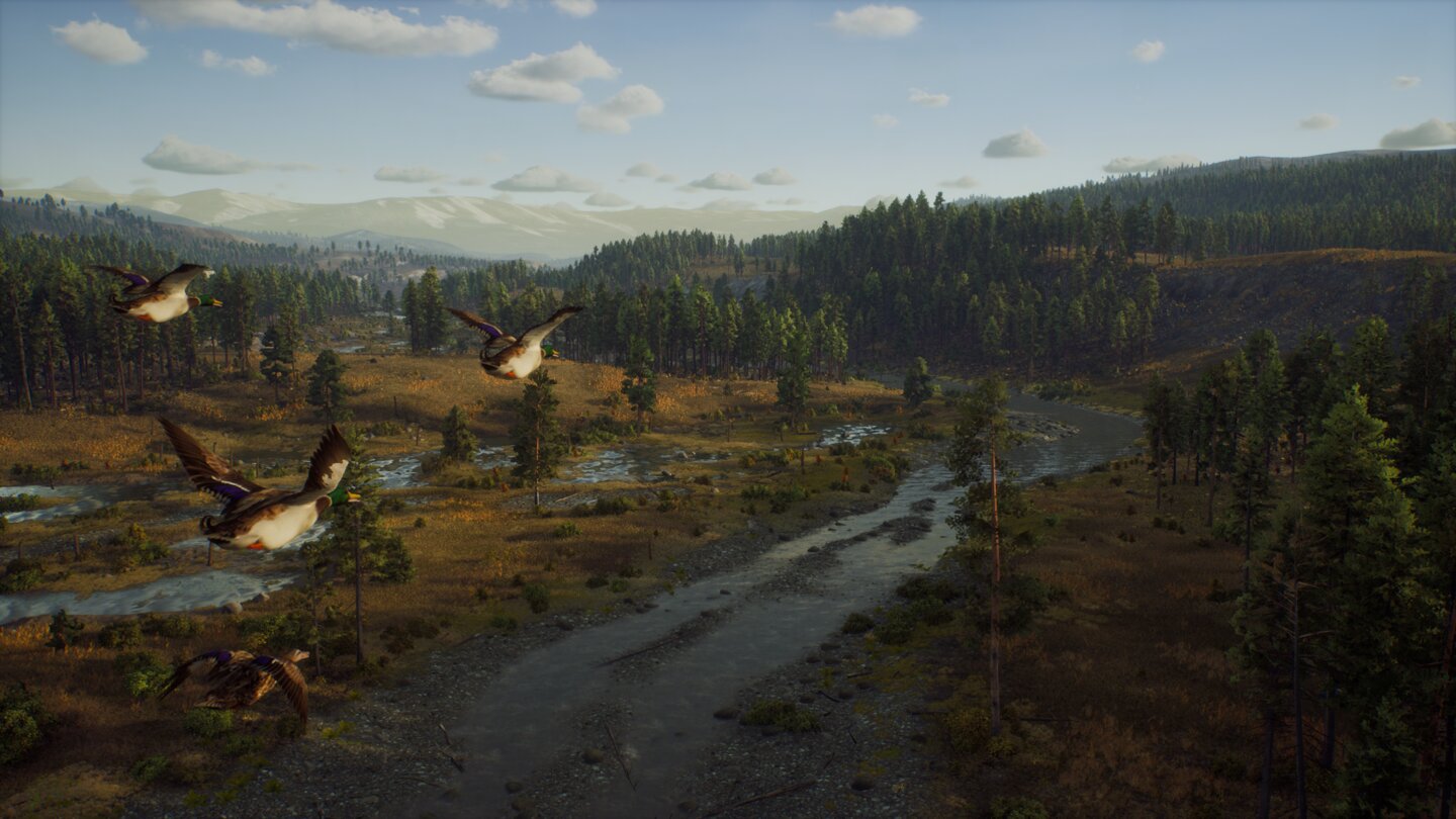 Way of the Hunter
Screenshots zur Jagdsimulation
