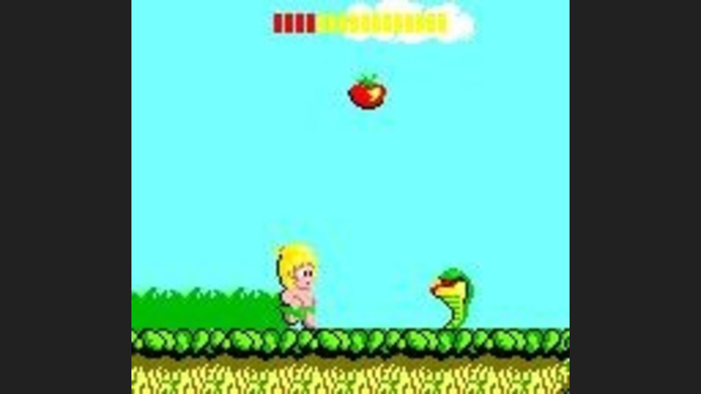 Tom-Tom, look out. A poisonous snake!