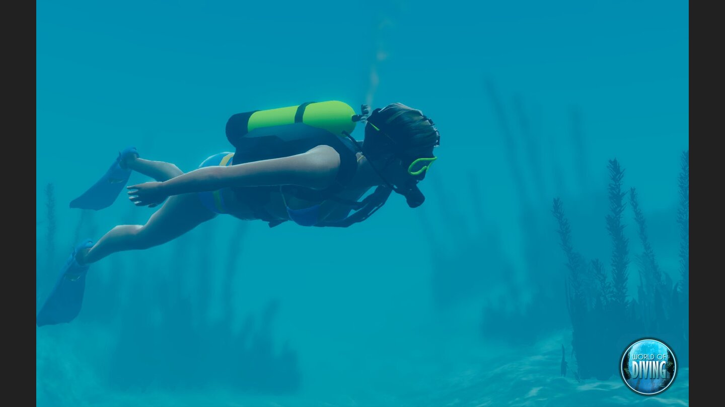 World of Diving