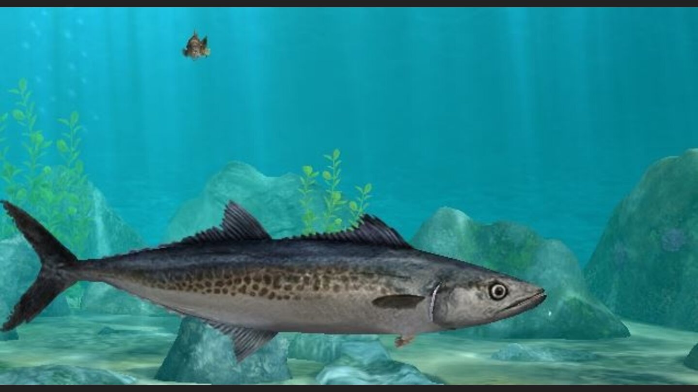 World of Fishing - Screenshots