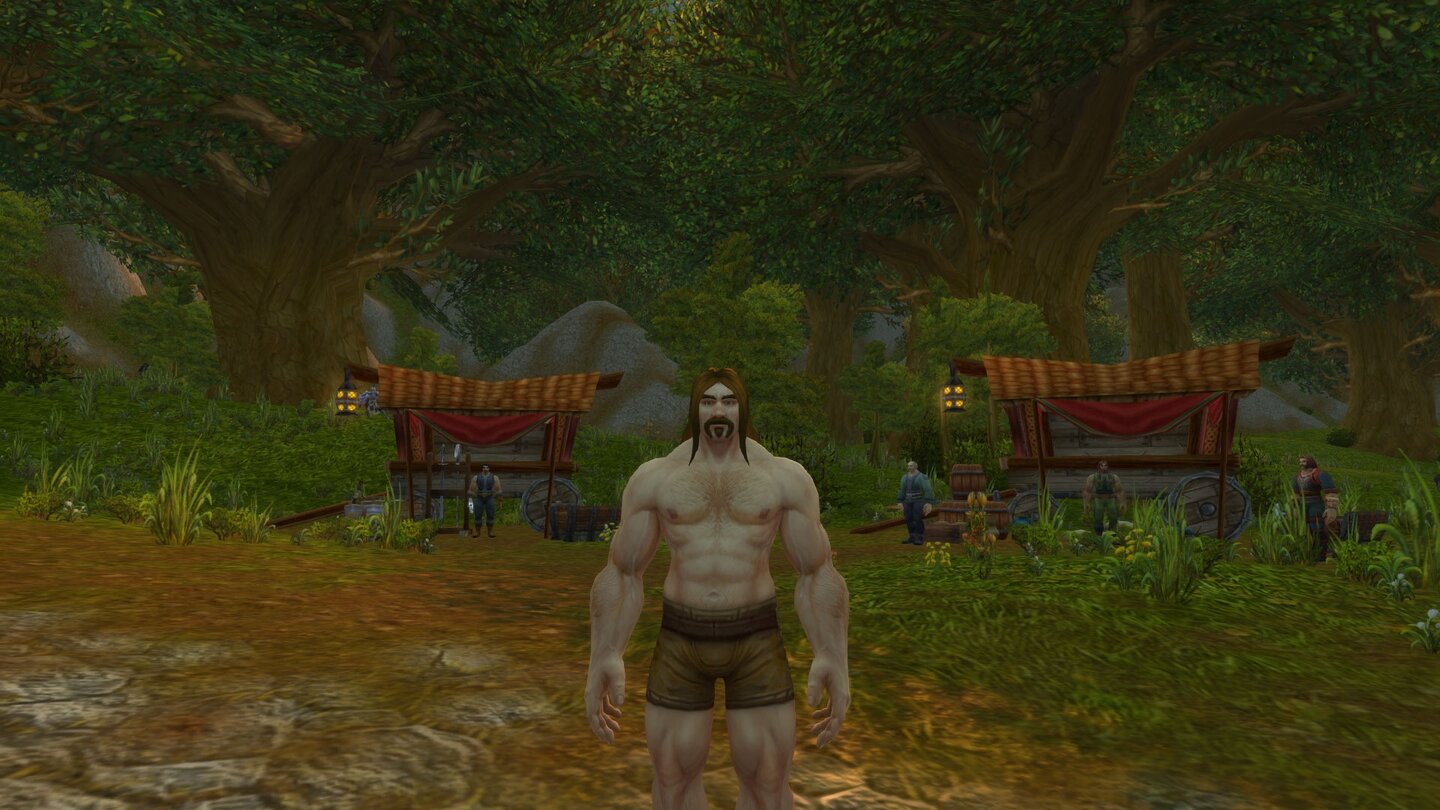 World of Warcraft: Warlords of DraenorMännlicher Mensch nach dem Addon