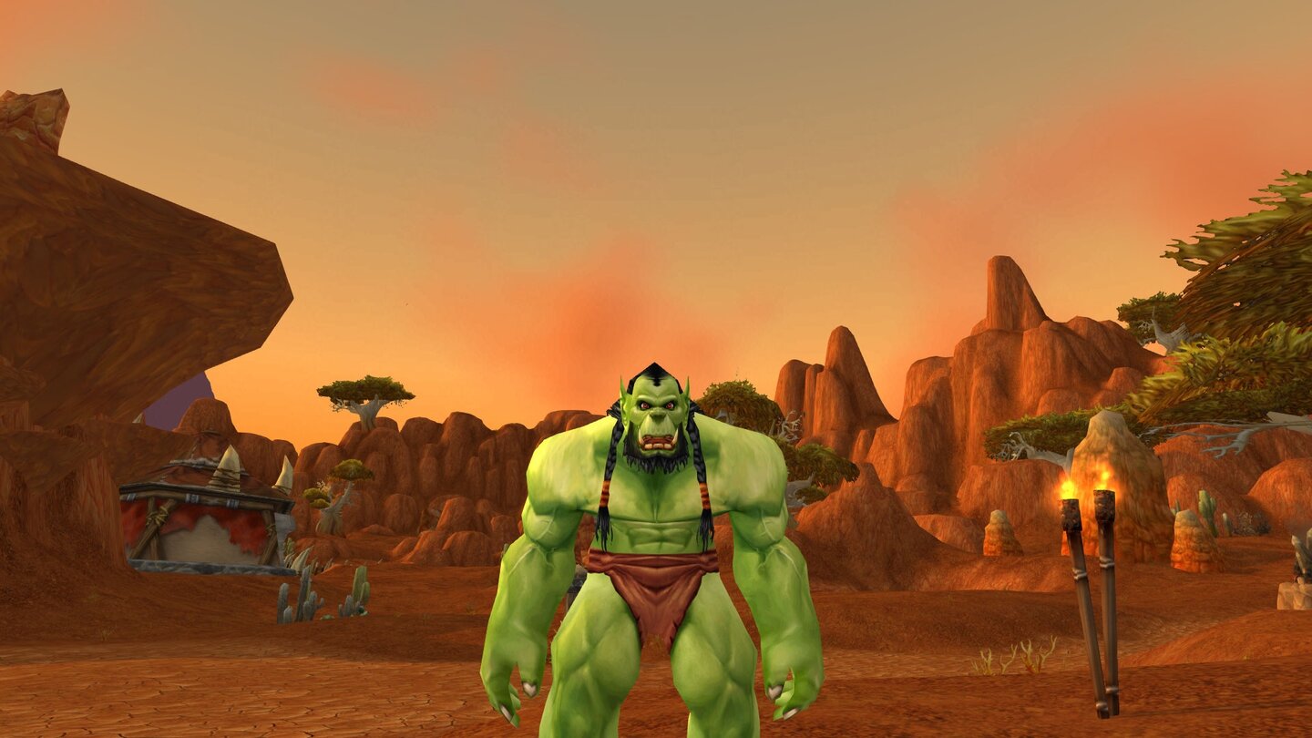 World of Warcraft: Warlords of DraenorMännlicher Ork vor dem Addon
