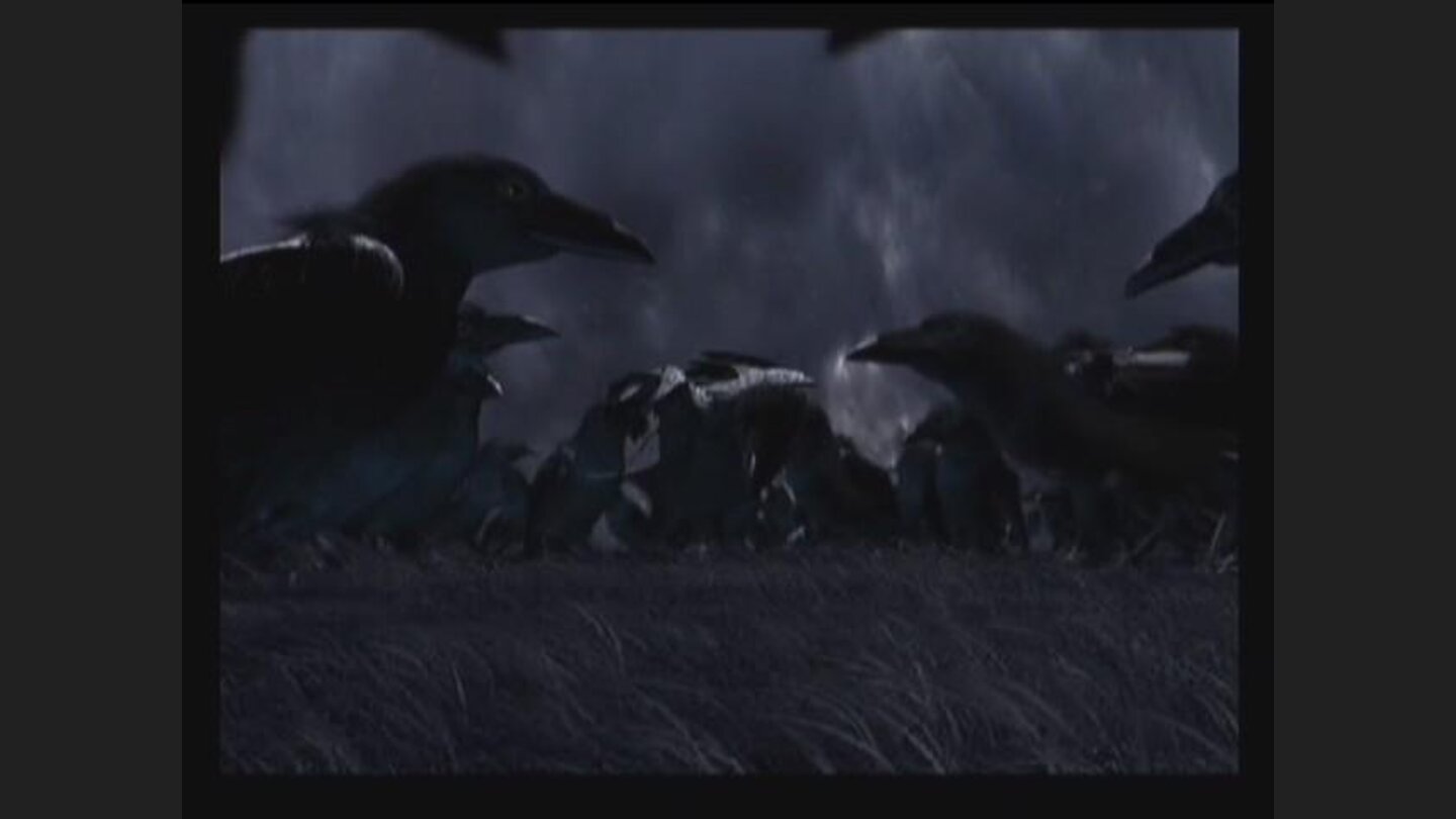 Shot from Ravens logo movie