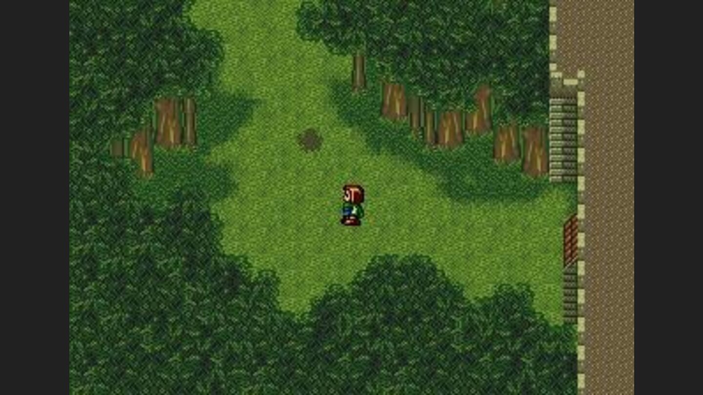 Forest road