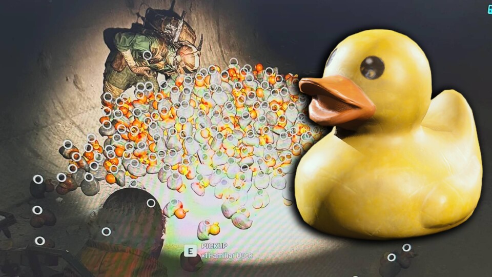 Diese Menge an Entchen ist wohl der Traum aller Raider. (Bild: endgame2937 auf Reddit)