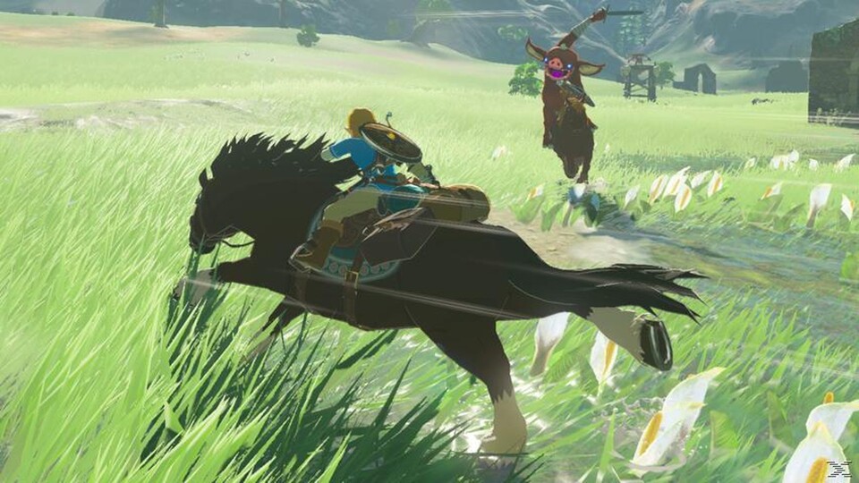 Breath of the Wild gibt's im Bundle mit dem Switch Pro Controller.