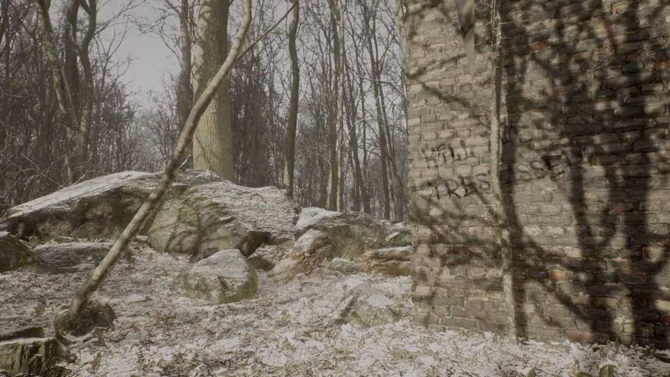 Die ersten Bilder aus dem Teaser zeigen einen verschneiten Wald. Vom Horror ist nichs zu sehen.