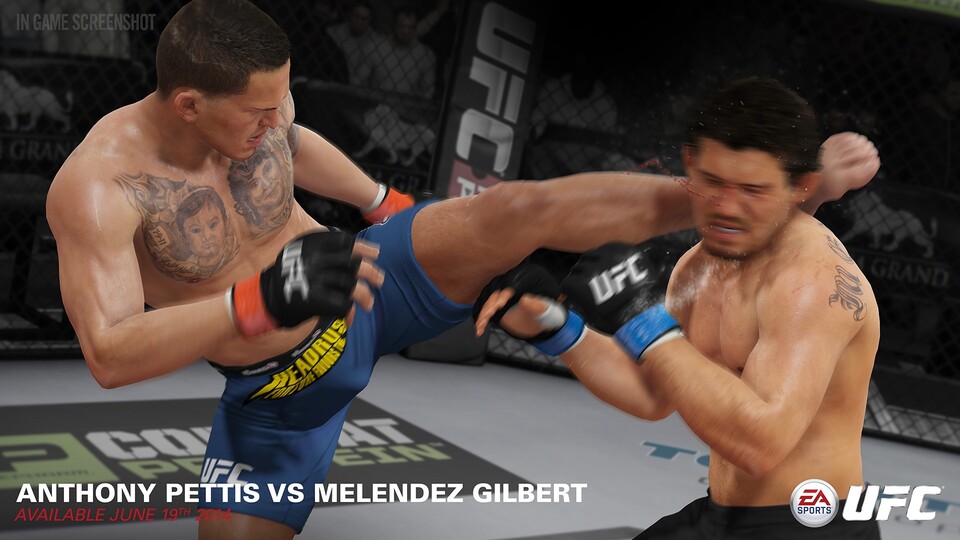 Wirklich realistische Kampfsportsimulation sind im Videospielmarkt selten. EA Sports UFC ist die krachende Ausnahme und schickt euch direkt ins Octagon der weltgrößten MMA-Liga.