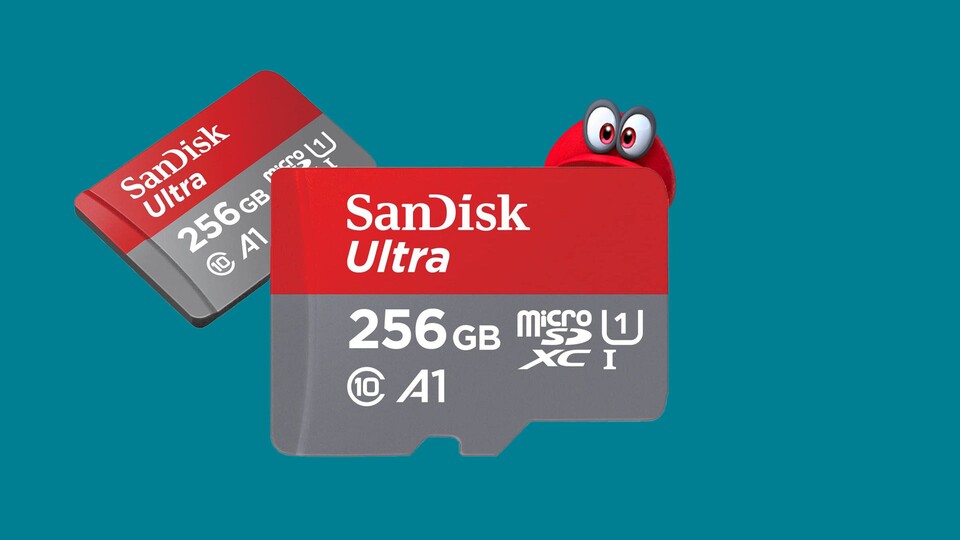 SanDisk 256 GB Micro-SD Karte