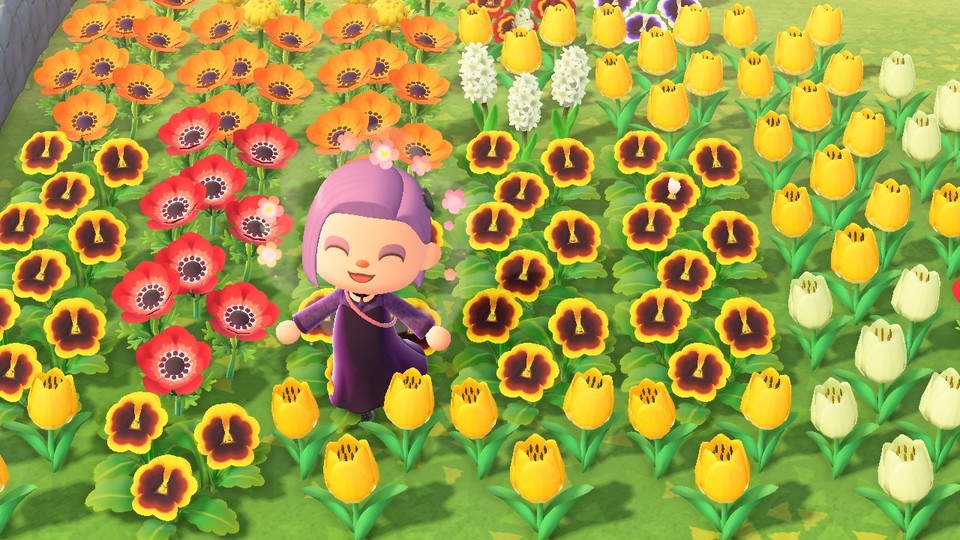 Ihr wollt in Animal Crossing: New Horizons so viele bunte Blumen wie möglich? Dann schaut mal in unseren Guide.