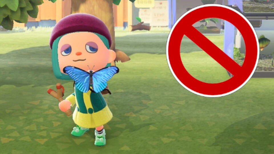 Im Oktober gibt es keine neuen Insekten in Animal Crossing.