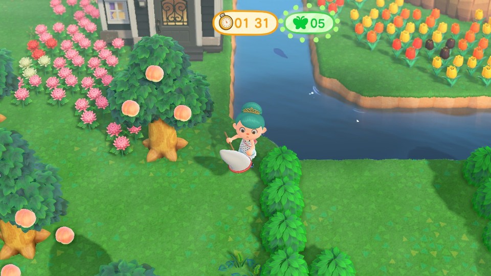 In addition to the timer, you can also see how many insects you have caught so far.