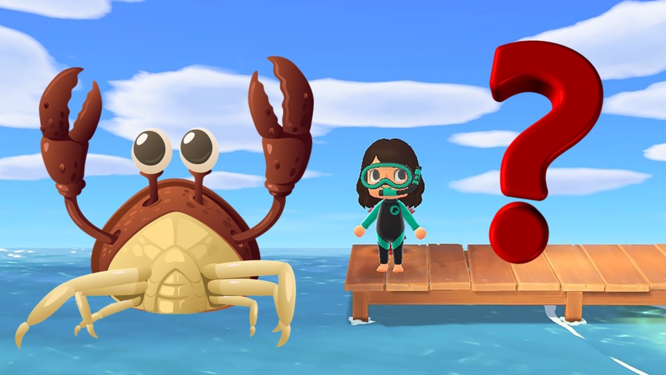 In Animal Crossing: New Horizons können wir 40 Meerestiere sammeln.