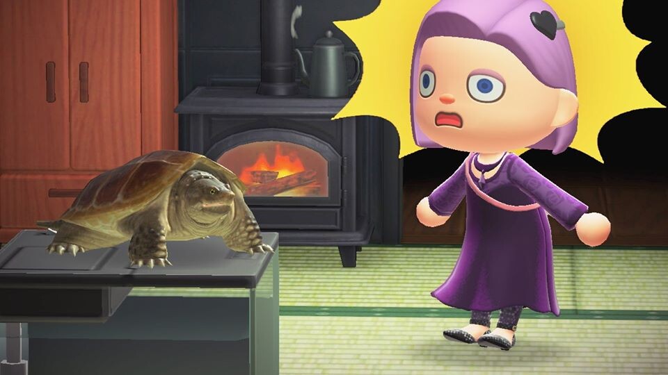 Mit Schnappschildkröten terrorisiert ein Spieler in Animal Crossing: New Horizons seine Inselbewohner.