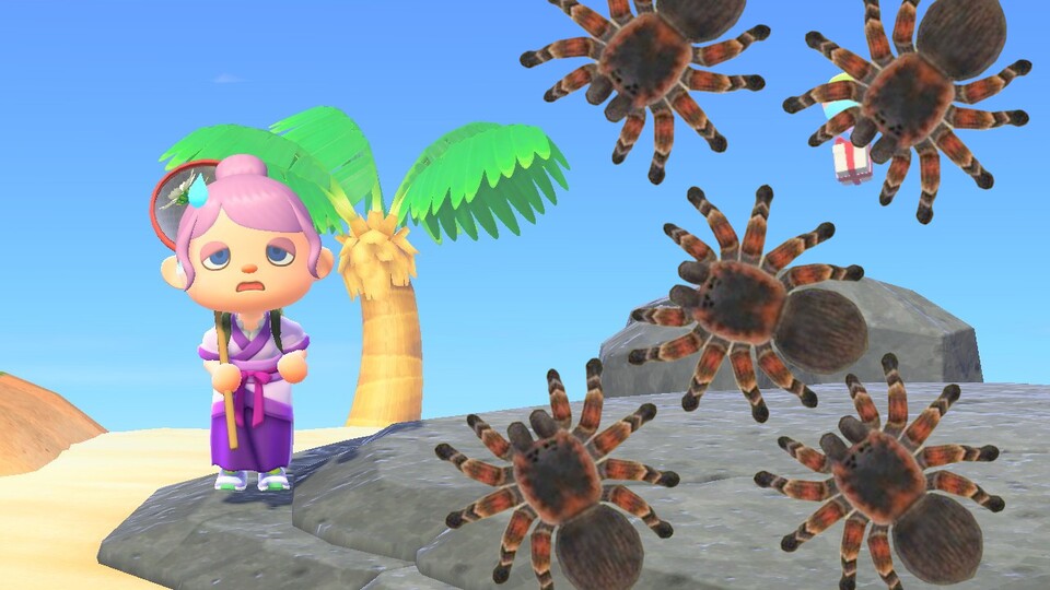 Arachnophobe Animal Crossing-Spieler dürfen sich freuen. Der Vogelspinneninsel-Trick ist ab sofort nicht mehr ganz so lukrativ, wie zuvor.