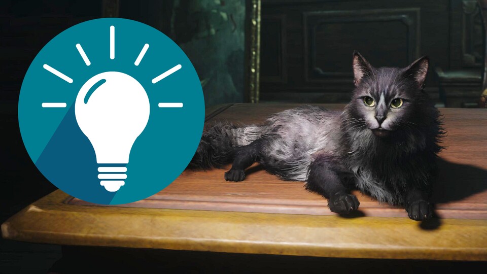 Die Katze, die wir im Hauptspiel freischalten, hat ein kleines Assassinen-Logo auf der Nase.