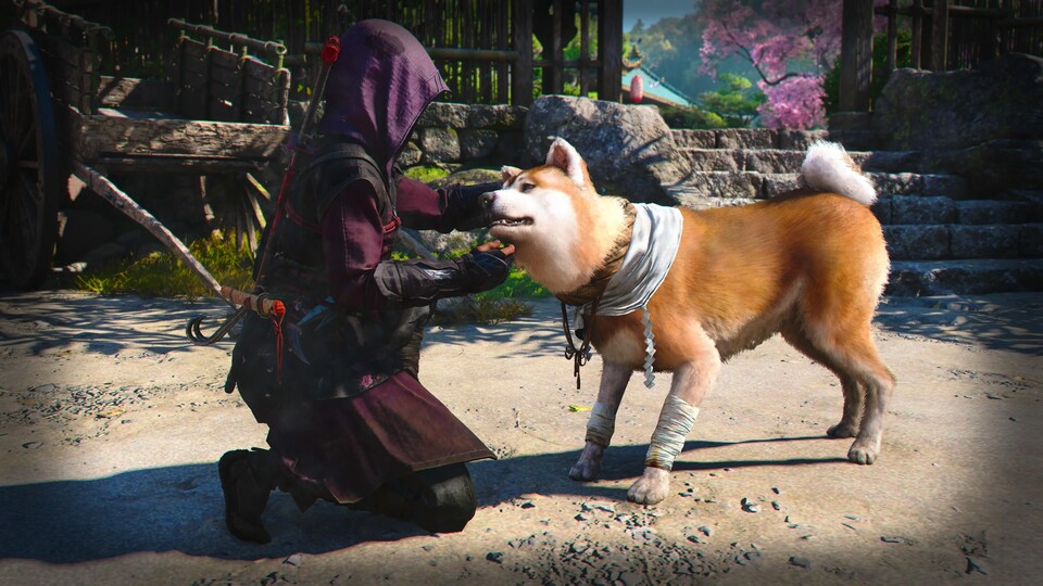 Eine Romanze oder ein Hund? Die Entscheidung müsst ihr selbst treffen.