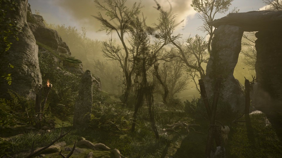 Im DLC geht es mystisch zu. Dieser Gestalt begegnen wir im Nebel der Druiden.