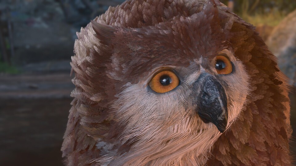 Da kann das Eulenbär-Junge nur staunen. Dieses Cosplay ist wirklich gut gelungen.