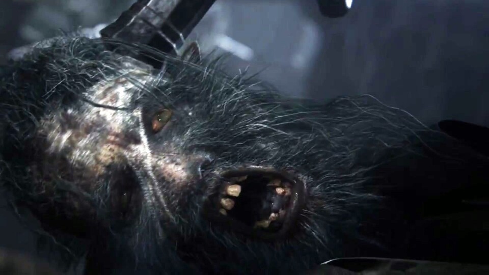 Der Release von Bloodborne soll im ersten Quartal 2015 erfolgen.