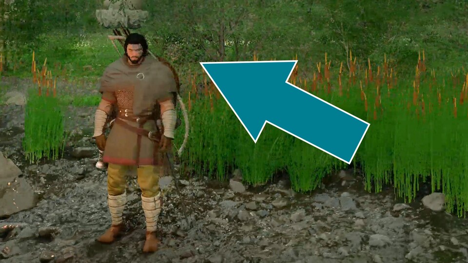 Bei Kameradrehungen entstehen auf der Vegetation hinter Kiff grobpixelige Artefakte. Außerdem vermatscht die detailliert modellierte Umgebung.